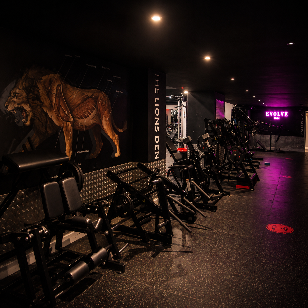 Evolve Gym, Colindale