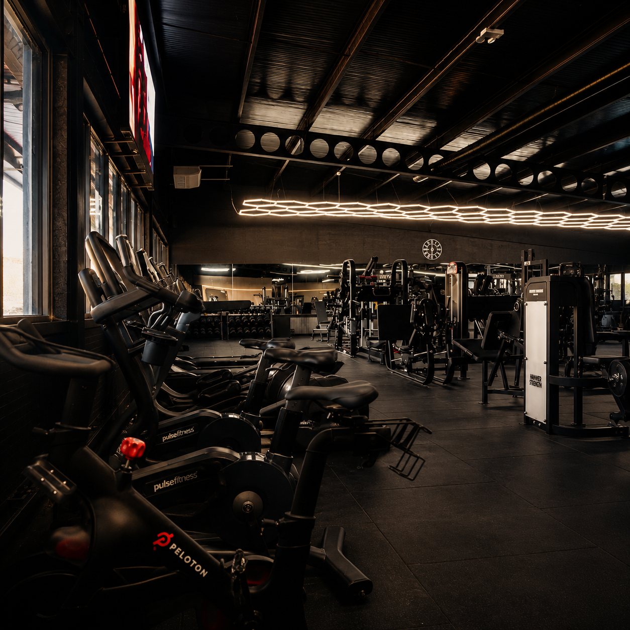 Chosen Gym, Hayes