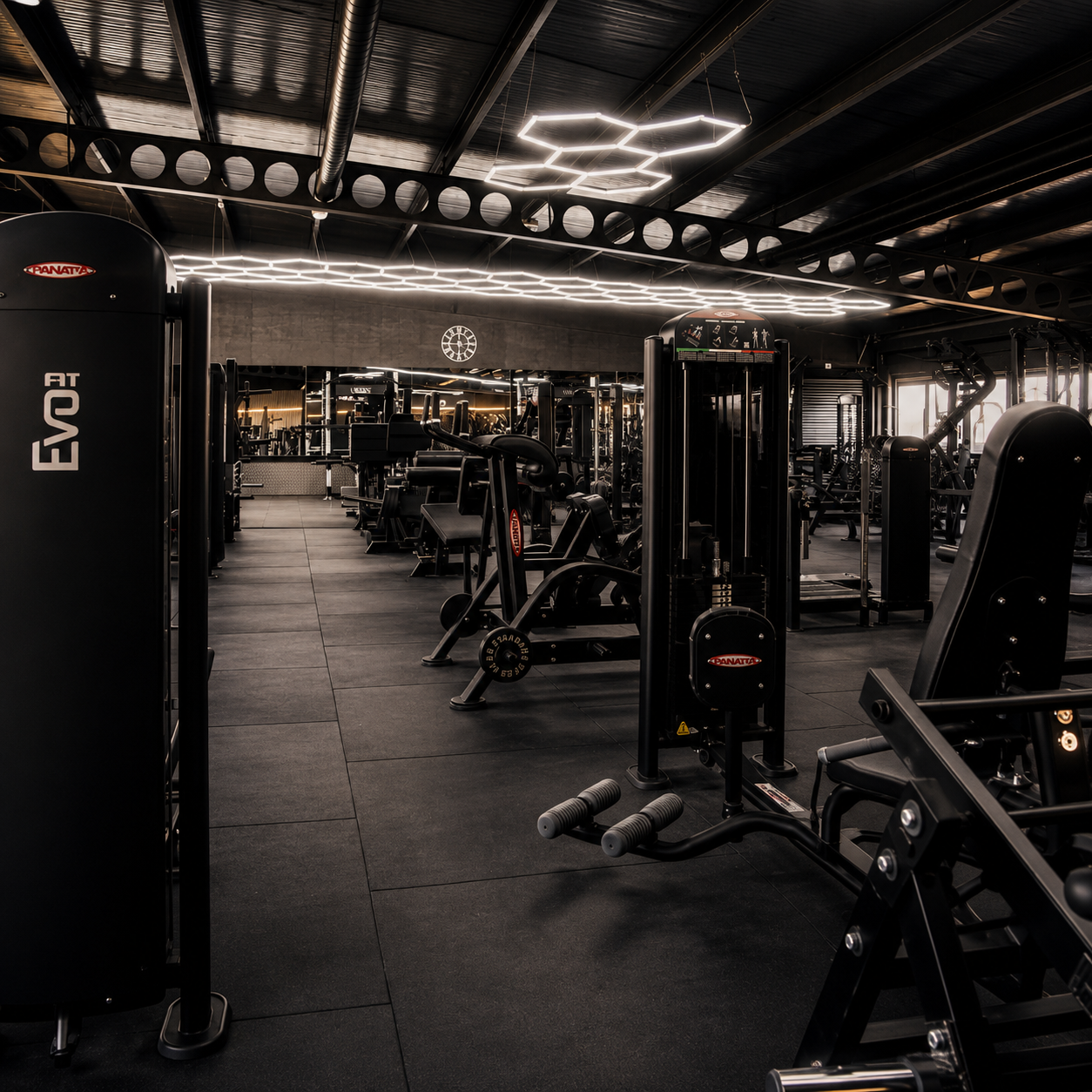 Chosen Gym, Hayes