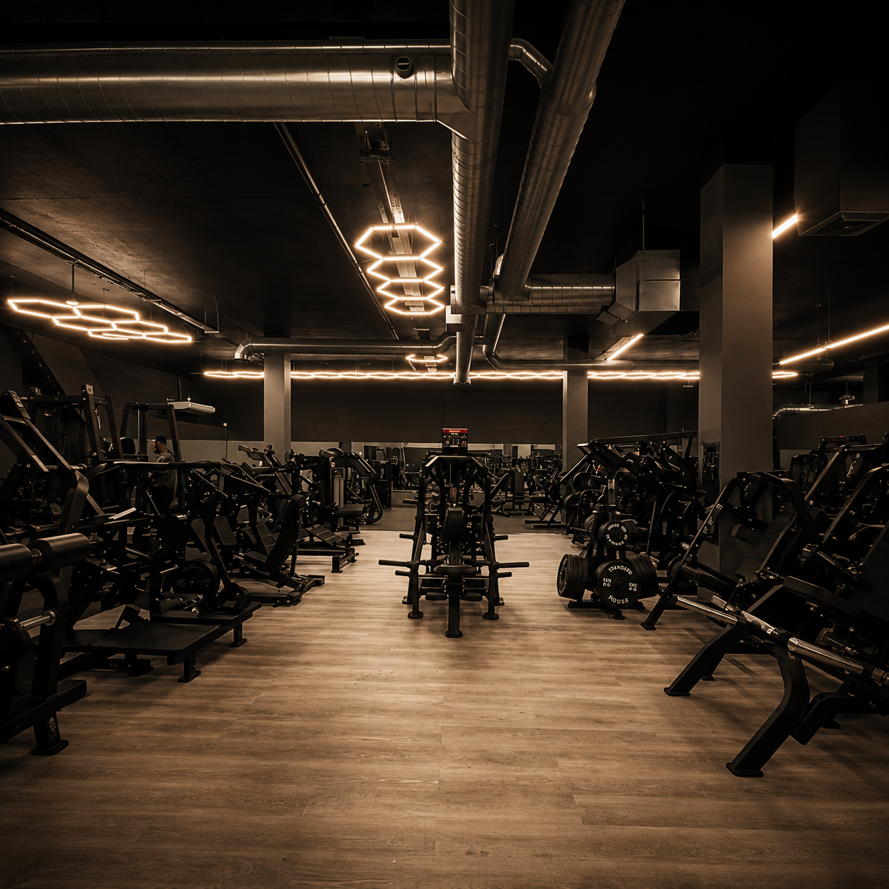 Chosen Gym, Hounslow